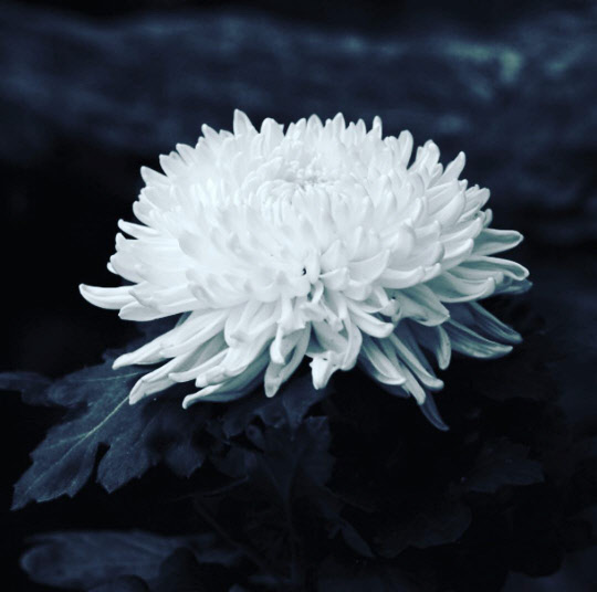 사진=김규리 인스타그램